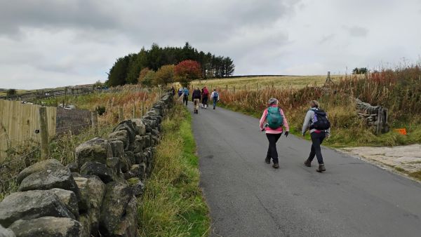 Walkers on Autumn road